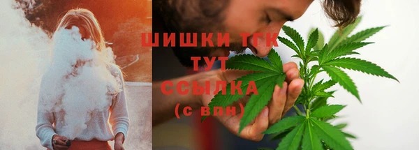 тгк Арсеньев