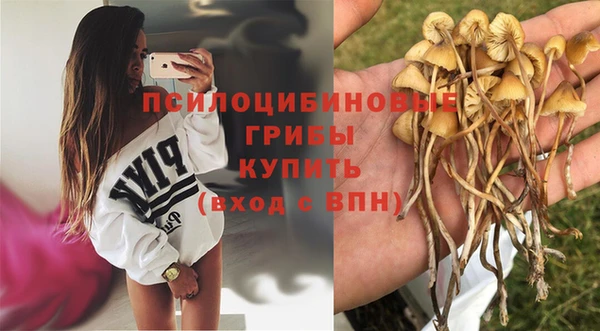 тгк Арсеньев