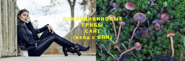 стафф Балахна