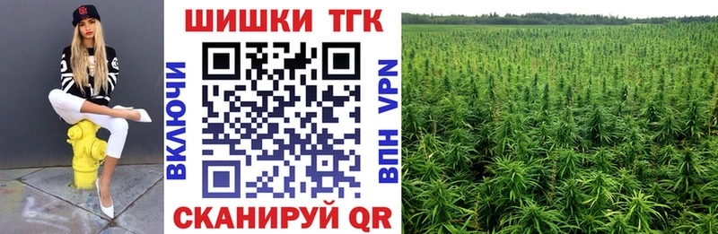 закладка Покровск Каннабис гибрид